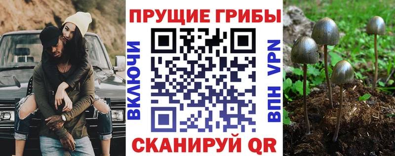 Купить где  Тетюши  Псилоцибиновые грибы MAGIC MUSHROOMS 